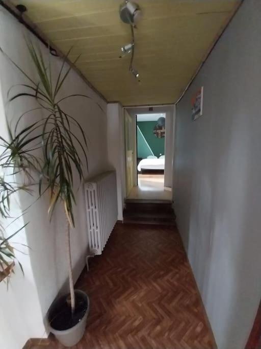 Maison En Pierres Pradinas Εξωτερικό φωτογραφία